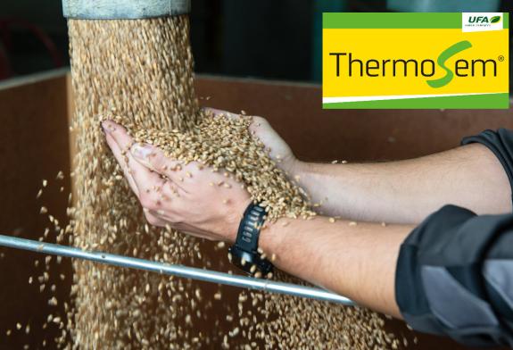Thermische Dampfbehandlung ThermoSem®