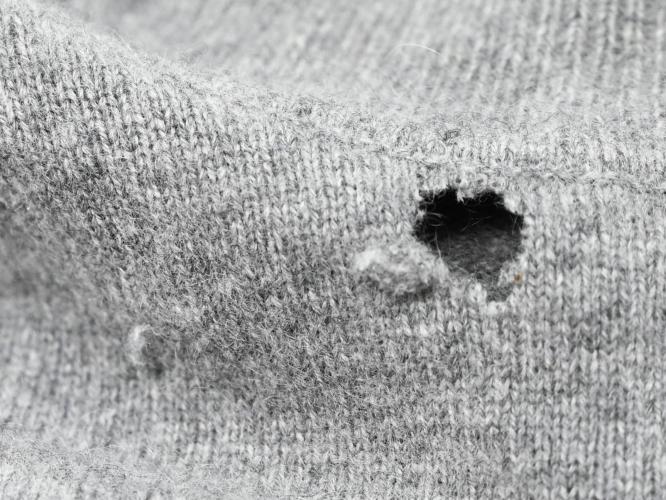 Schadbild: Löchrige Textilien
